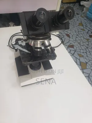 Photo - Microscope