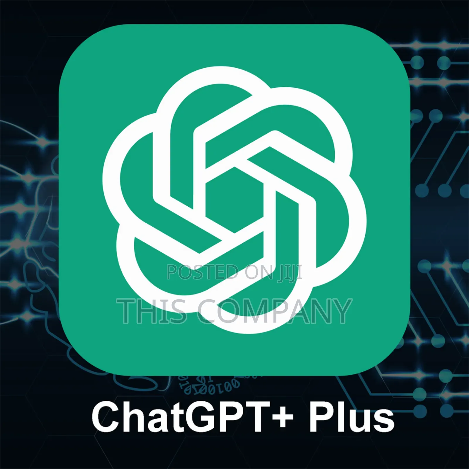Chat GPT Plus 3 Month