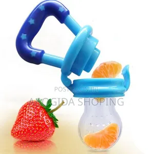 Fruit Feeding Pacifier 