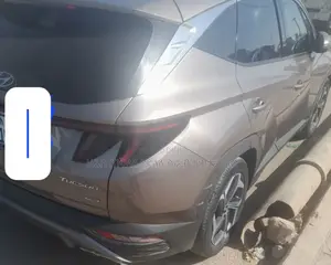 Hyundai Tucson 2022 Pink