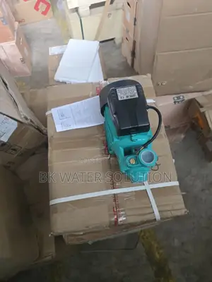 Summer Pump 0.5 Hp