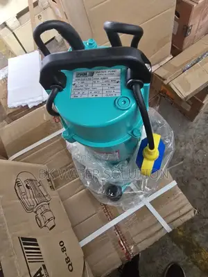 Summer Pump 1 Hp