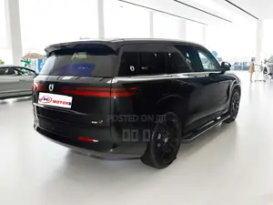 New Denza N9 2025 Black