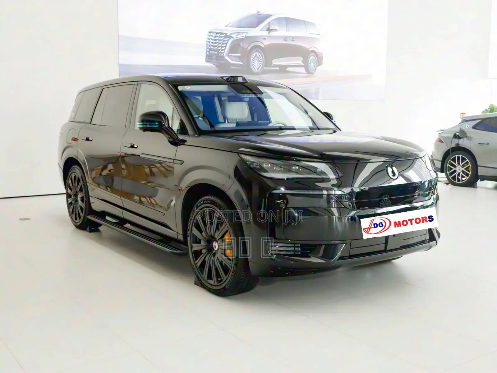 New Denza N9 2025 Black