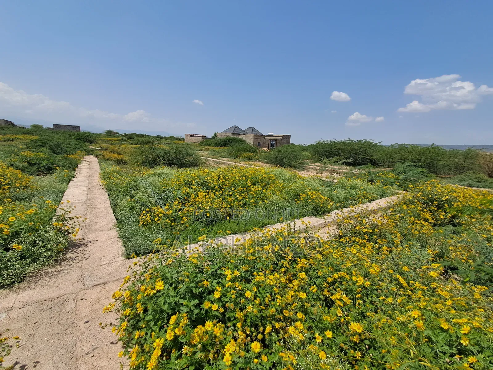 240 M2 Land For Residential