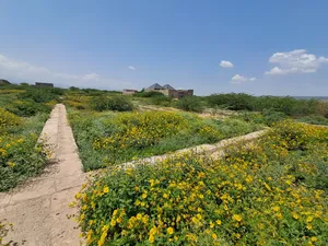 Photo - 240 M2 Land For Residential