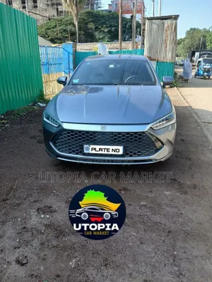 Photo - BYD Qin Plus DM-i 2024 Gray