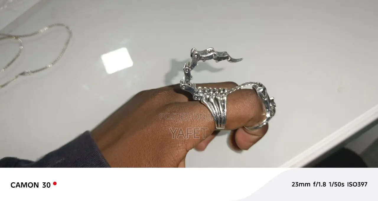 Silver Necleces and Ring