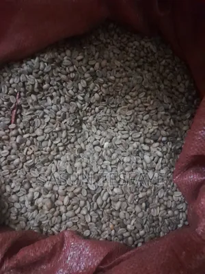 Coffee Bean ( Buna )