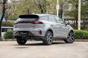 New BYD Tang DM-i 2025 Brown