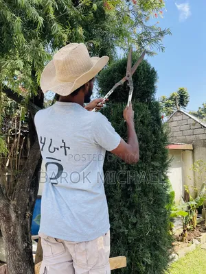 Photo - አትክልተኛ (Landscaping and Gardening Service)