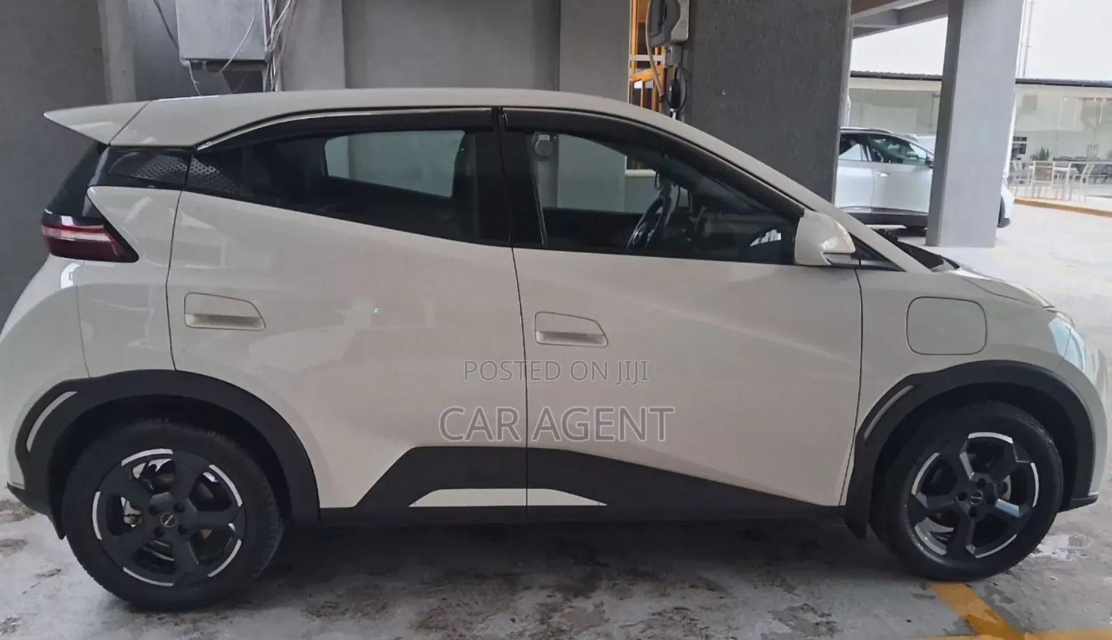 BYD Seagull 2024 Gray