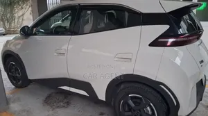 BYD Seagull 2024 Gray