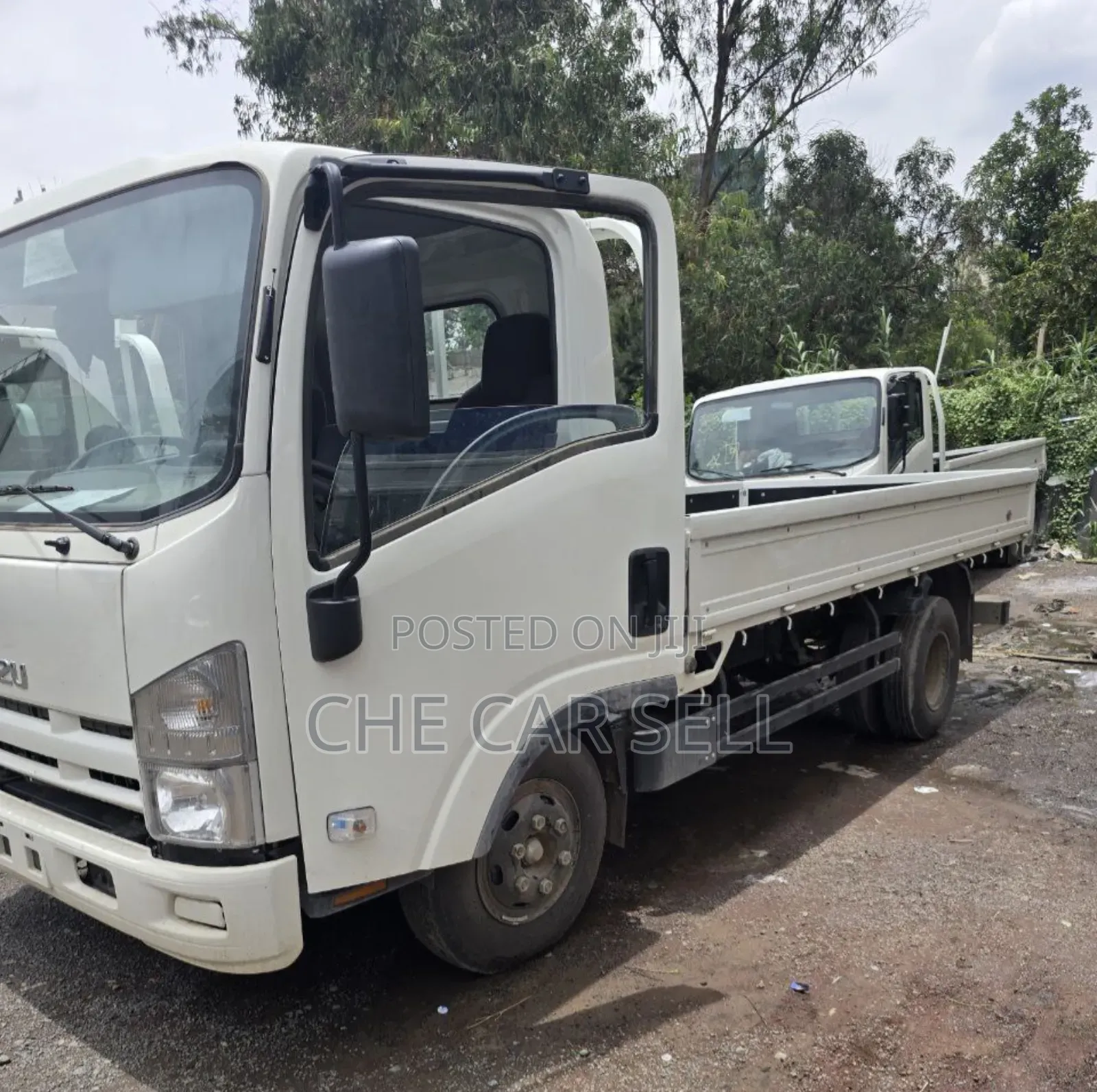 New Isuzu ELF Truck 2024 White