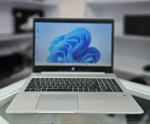 New Laptop HP ProBook 455 16GB AMD Ryzen 5 SSD 512GB