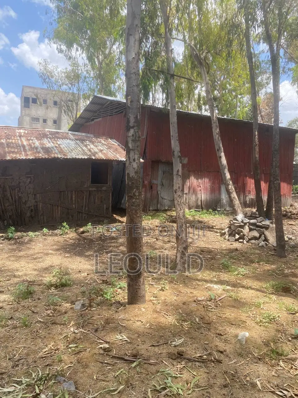 Land Kality Haile Garment Gar