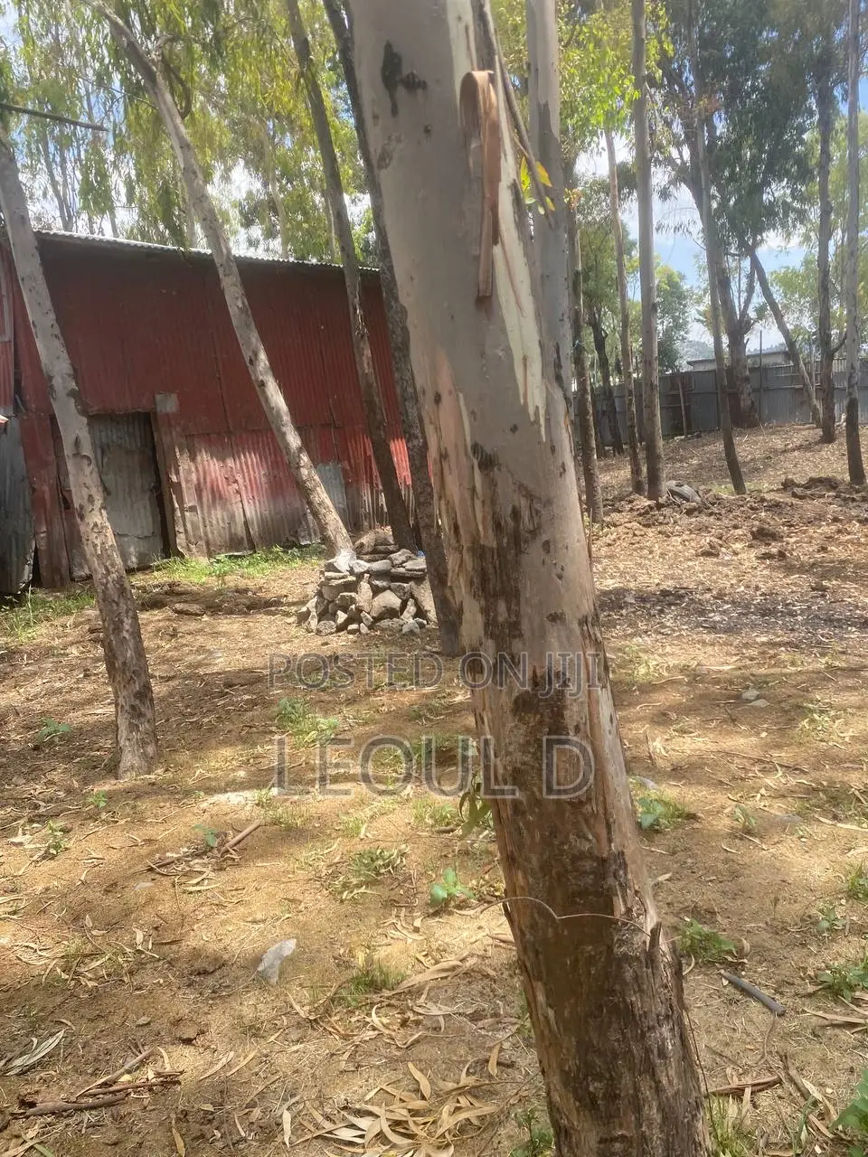 Land Kality Haile Garment Gar