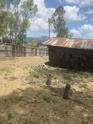 Land Kality Haile Garment Gar