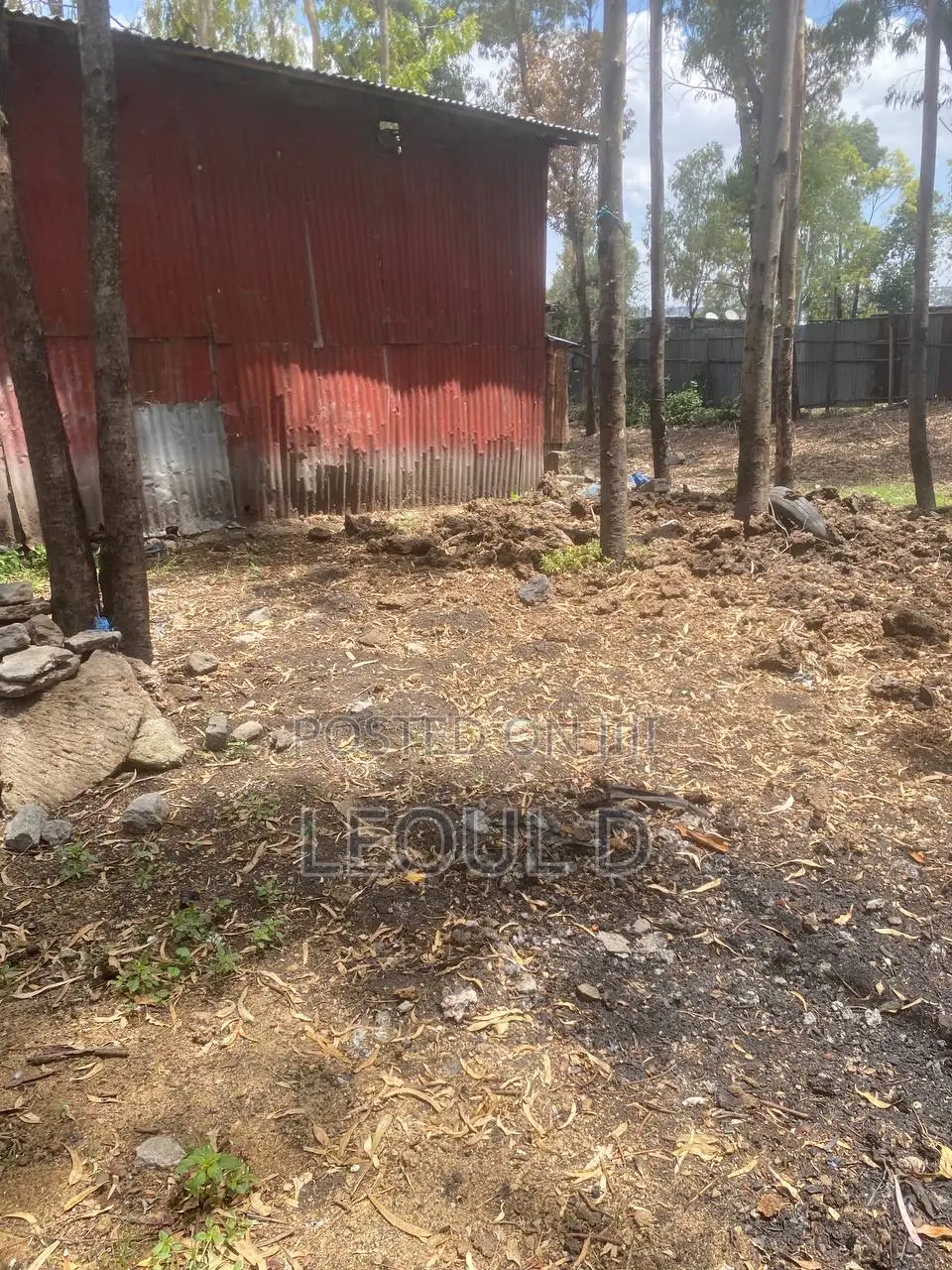 Land Kality Haile Garment Gar