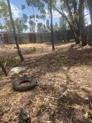 Land Kality Haile Garment Gar