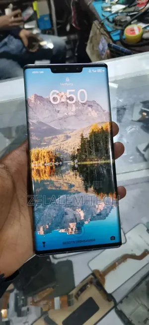 Photo - Huawei Mate 30 Pro 256 GB Silver