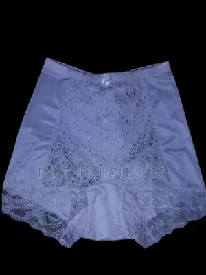 Instant Shaping By Plusform Hi-waist Lace Brief And Underwear