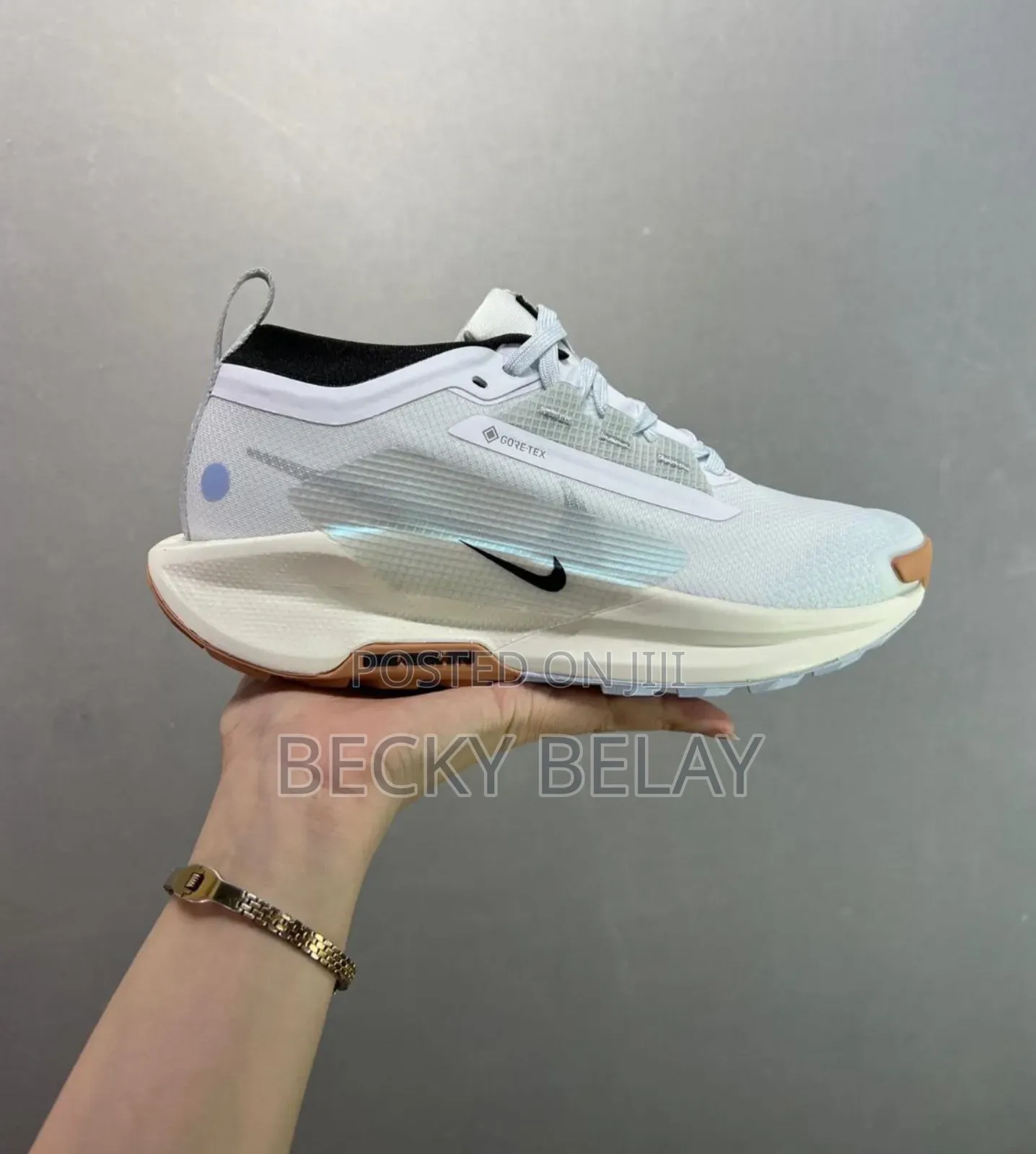 Nike Trial Gore-Tex Pegasus Shoes