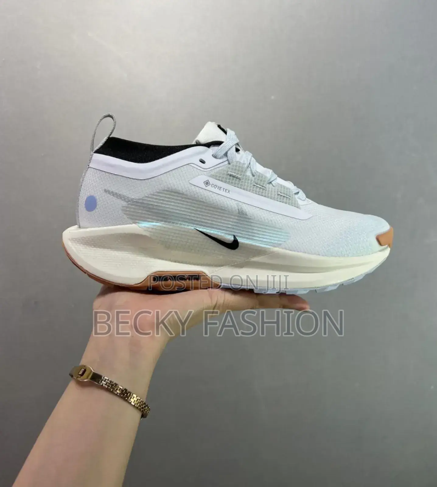 Nike Trial Gore-Tex Pegasus Shoes