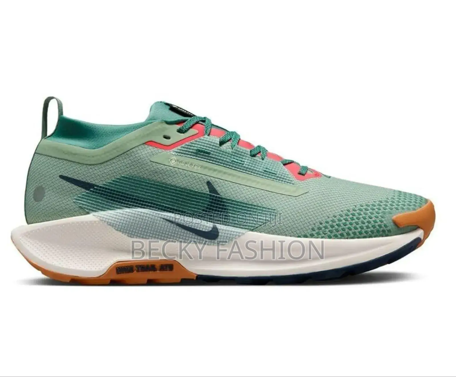 Nike Trial Gore-Tex Pegasus Shoes