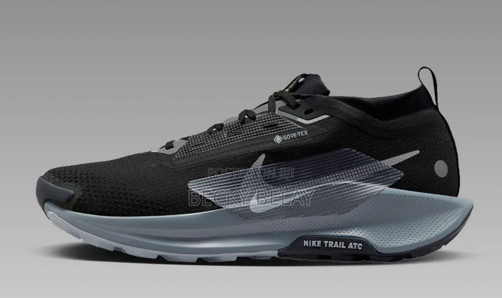 Nike Trial Gore-Tex Pegasus Shoes