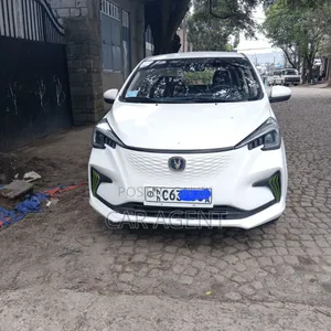 Changan BenBen 2024 White