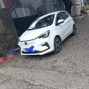 Changan BenBen 2024 White