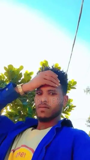 Photo - To Play Gemii