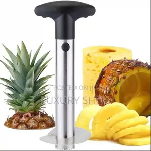 Pineapple Peeler 
የአናናስ መላጫ እና ስላይስ ማውጫ