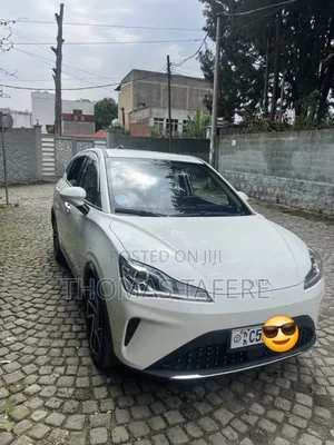 Hozon Neta Aya 2023 White