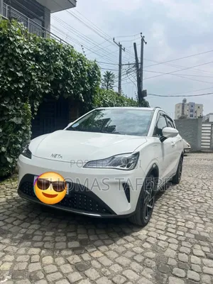 Hozon Neta Aya 2023 White