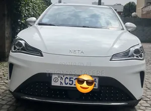 Hozon Neta Aya 2023 White