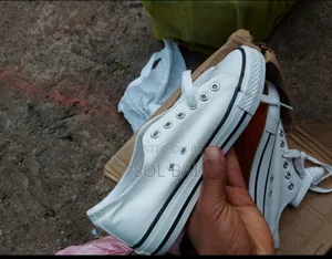 Photo - All Sport Women