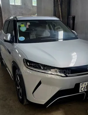 BYD Yuan Up 2024 Off white