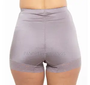 Instant Shaping By Plusform Hi-waist Lace Brief And Underwear