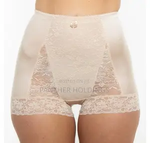 Instant Shaping By Plusform Hi-waist Lace Brief And Underwear