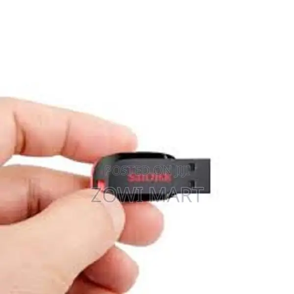 Sandisk Cruzer Blade Usb Flash Drive 32gb