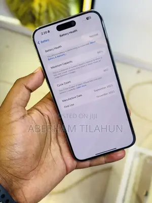 Apple iPhone 15 Pro Max 512 GB Silver