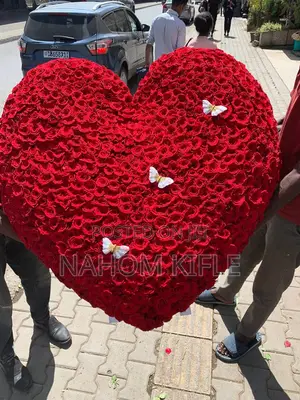 Big Beautiful Flowers 