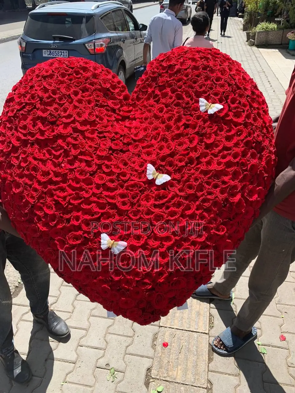 Big Beautiful Flowers 