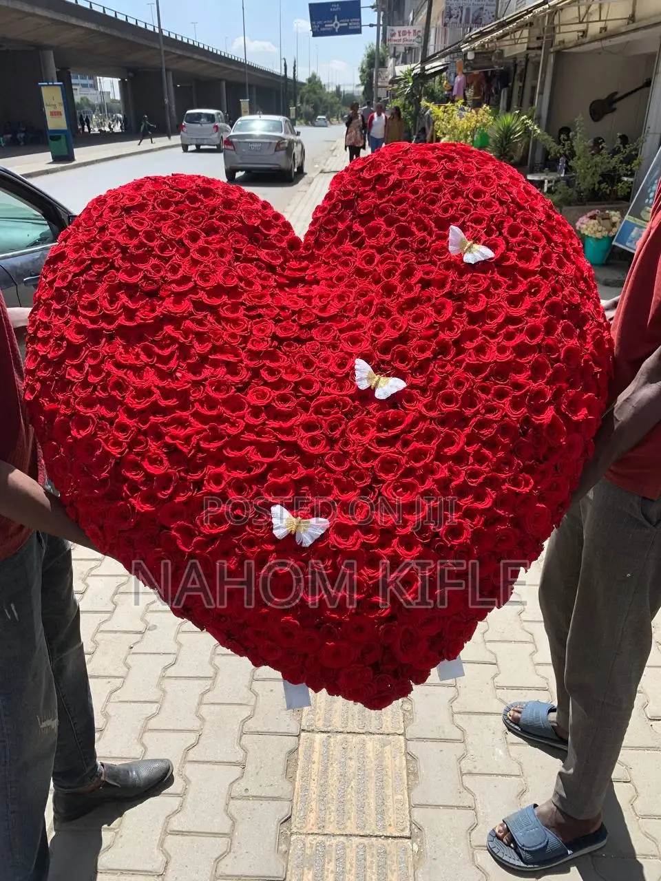 Big Beautiful Flowers 