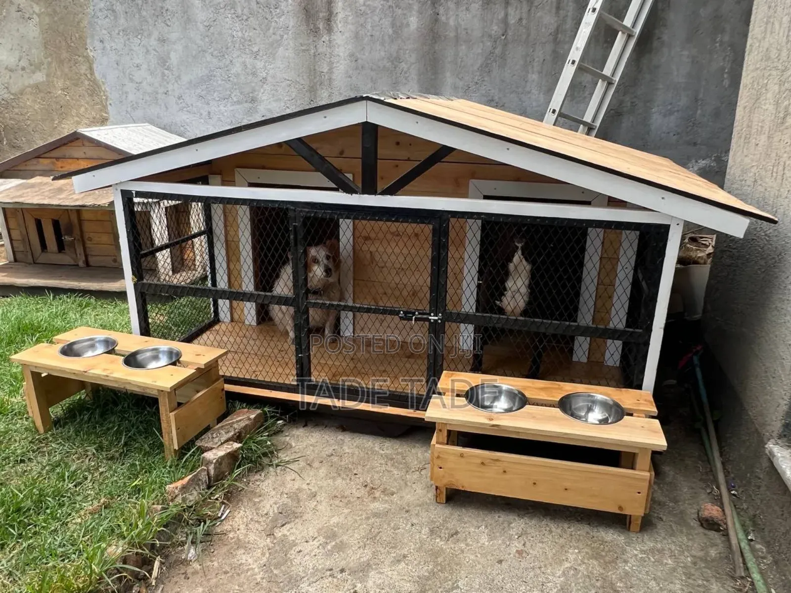 Smart Home Dogs House