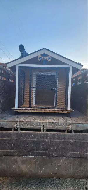 Photo - Best Dog House Homes