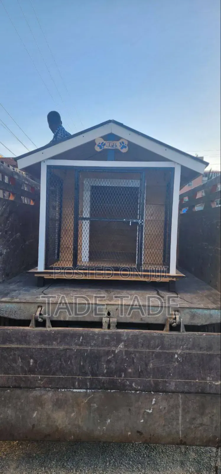 Best Dog House Homes