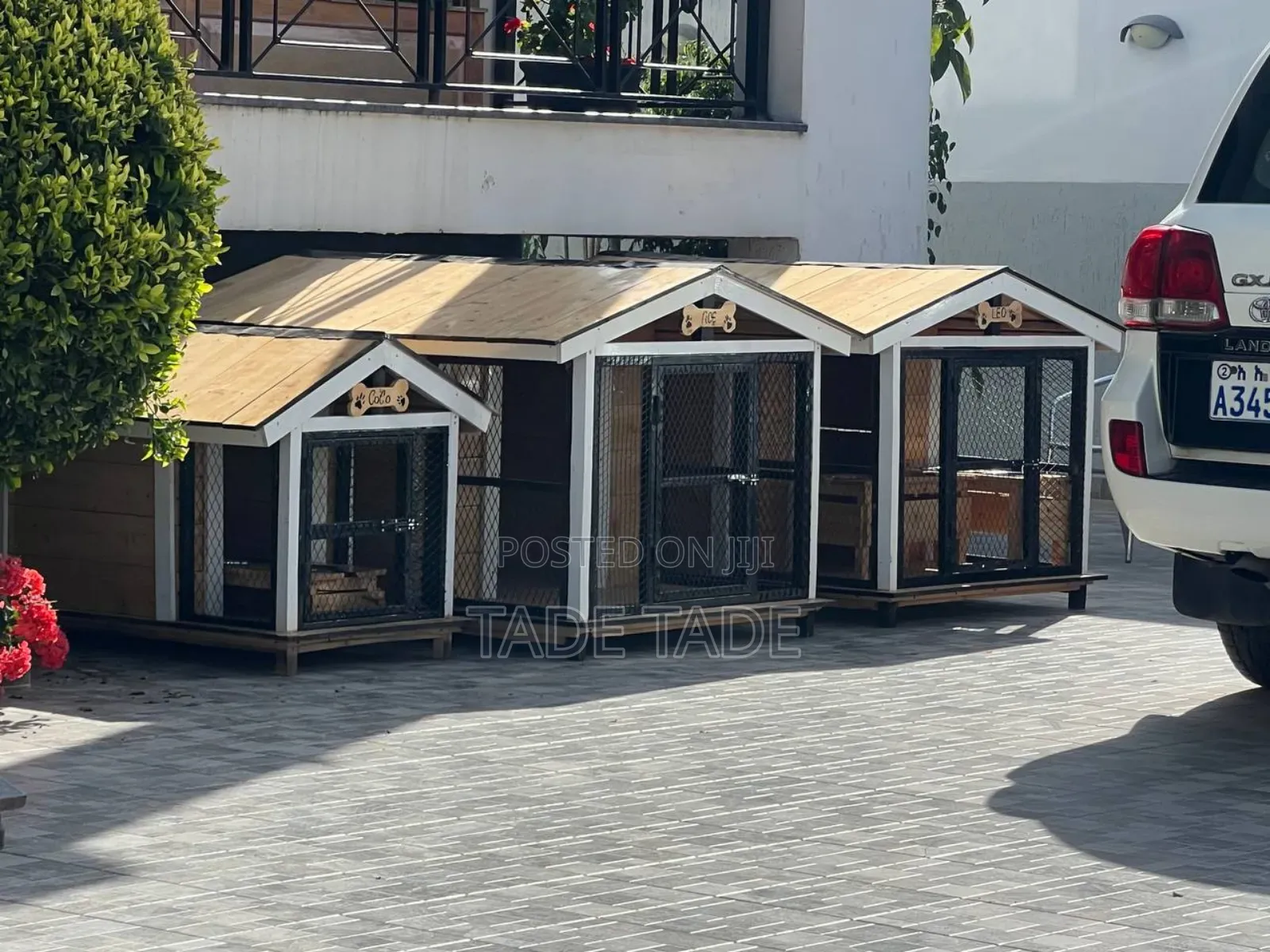 Amazing Best Dog House Pets